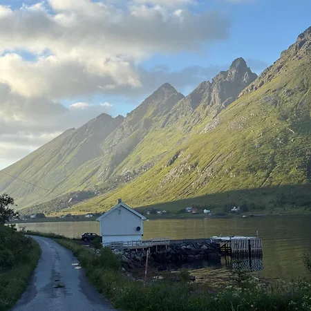 Skjellfjord *